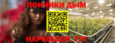шишки Коммунар