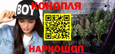 Альфа ПВП Кимры