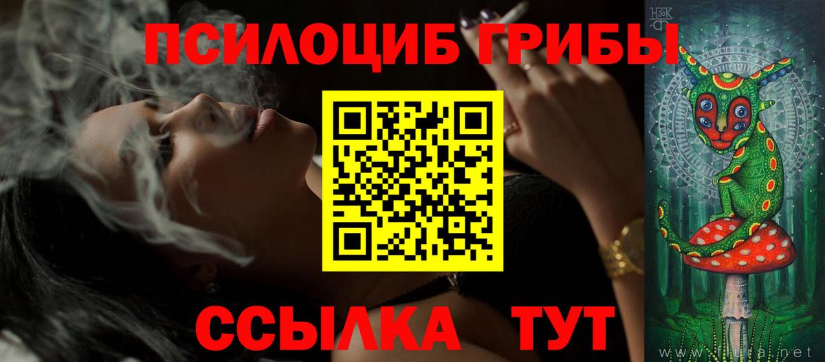 Псилоцибиновые грибы Psilocybine cubensis  Вход с VPN  Краснодар  Галлюциногенные грибы GOLDEN TEACHER 